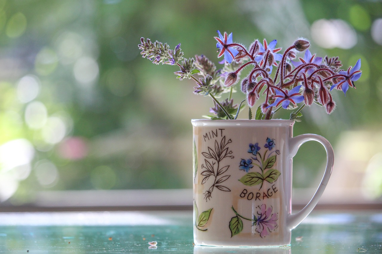 Sprigs of borage and mint in a decorative mug painted with pictures of borage and mint