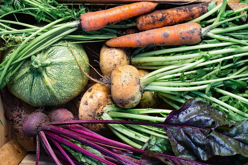 Best October vegetables
