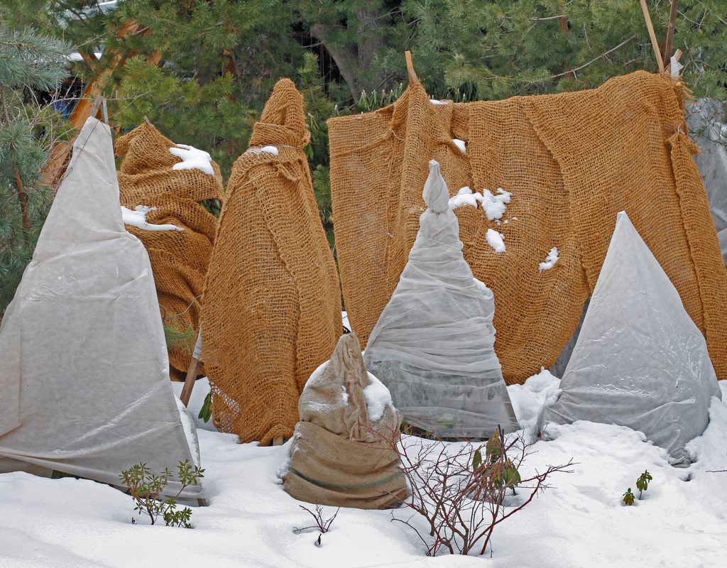 Brown and gray blankets over shrubs and trees in snow