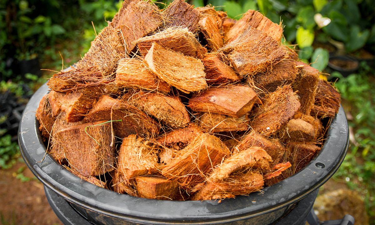Coco coir in a bowl outside