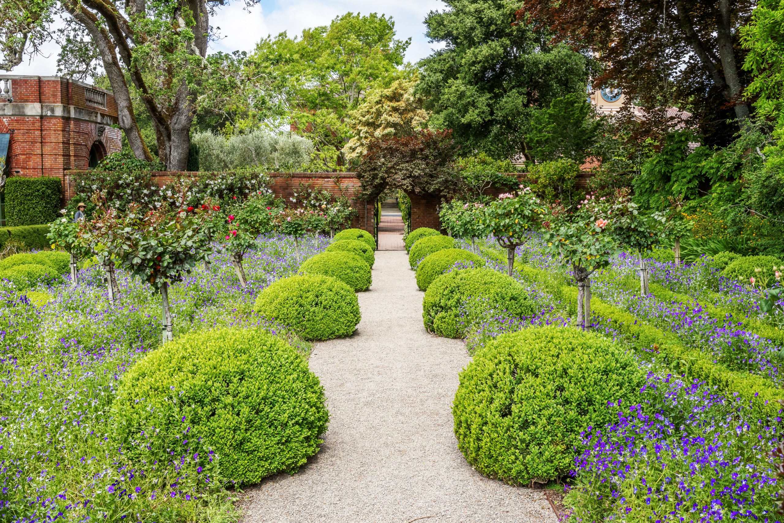 An English country garden path