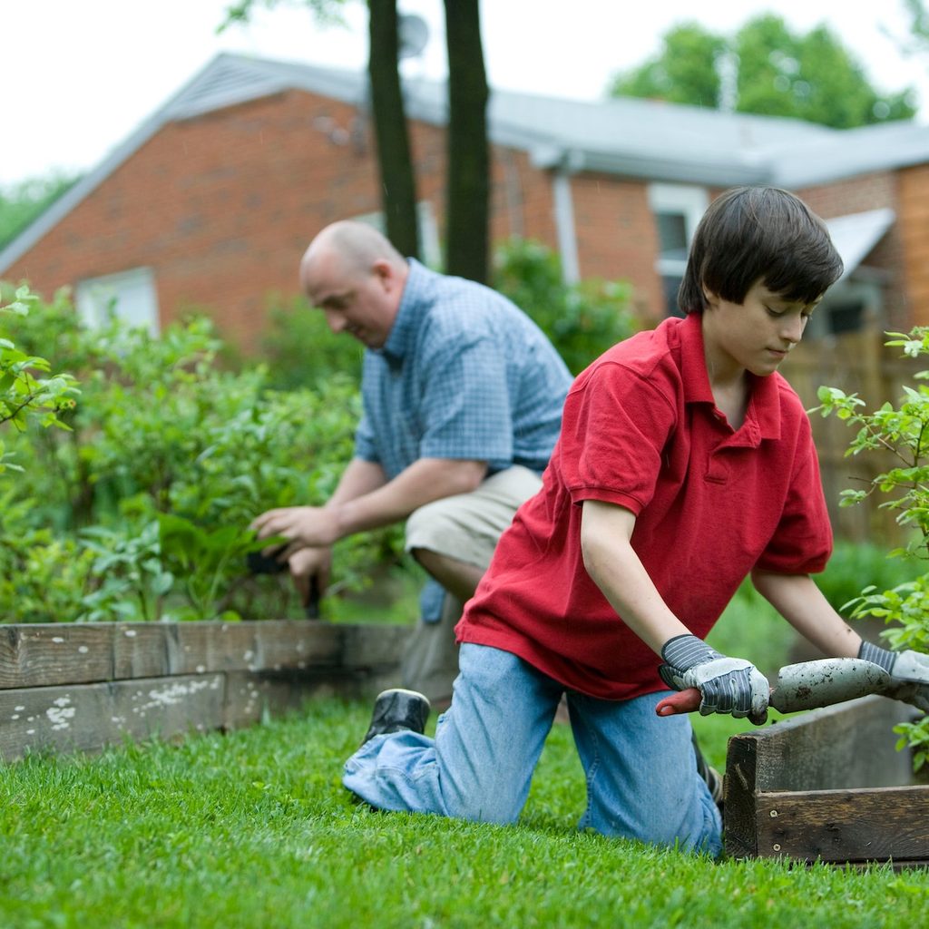 older man and young boy gardening