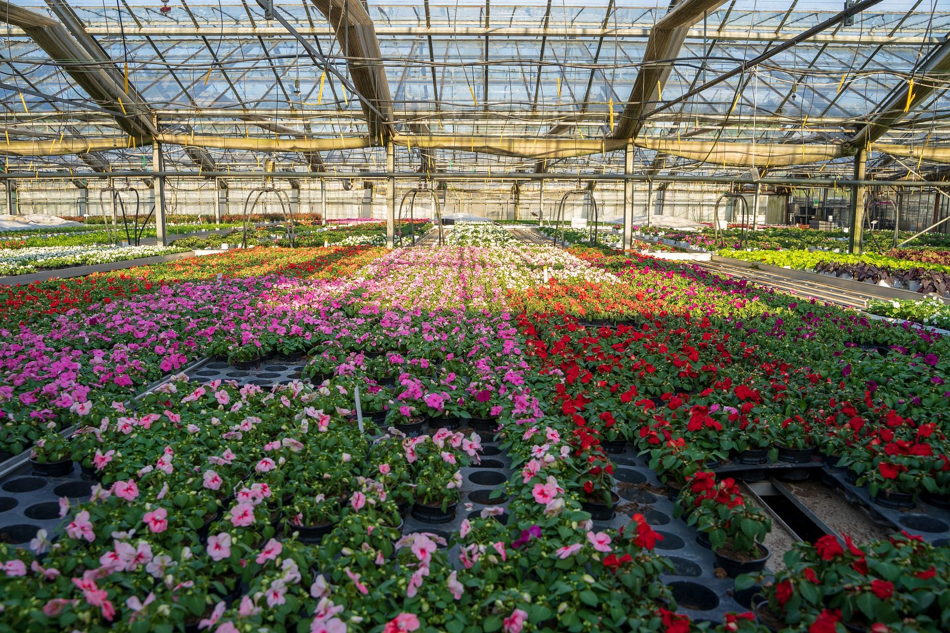 Greenhouse irrigation system