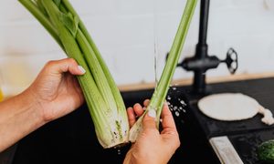 Person washing celery in a sink