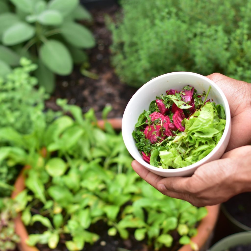 Person holding produce in a bowl over a vegetable garden