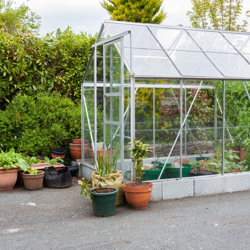 greenhouse pest control concrete patio jpg