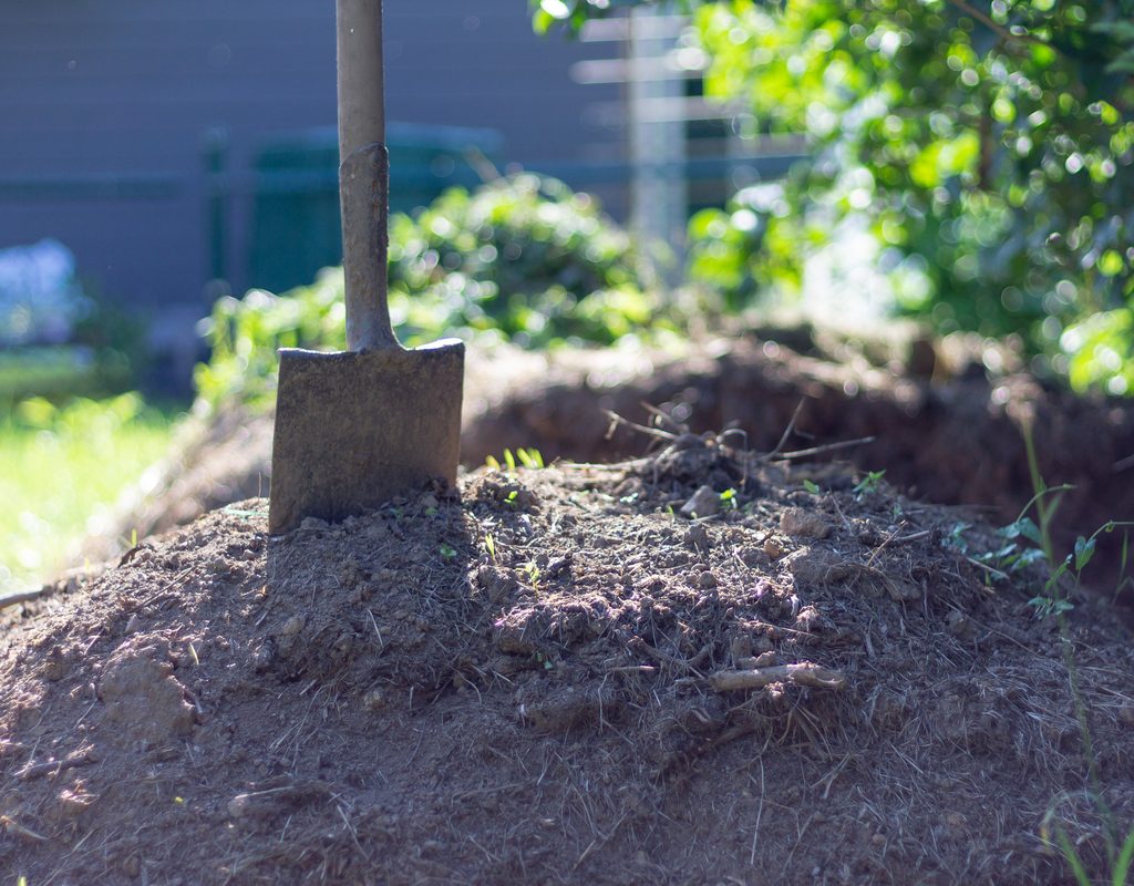 Shovel in pile of dirt compost