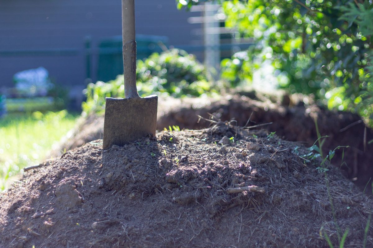 Shovel placed on top of a compost pile