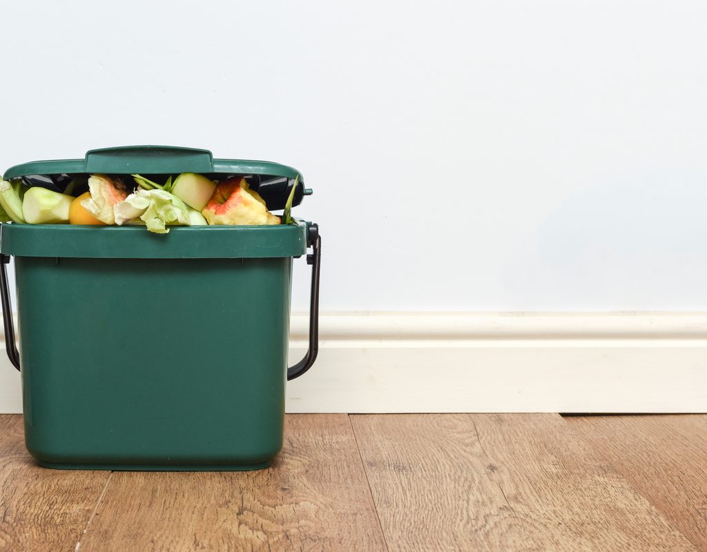 Small green compost bin indoors