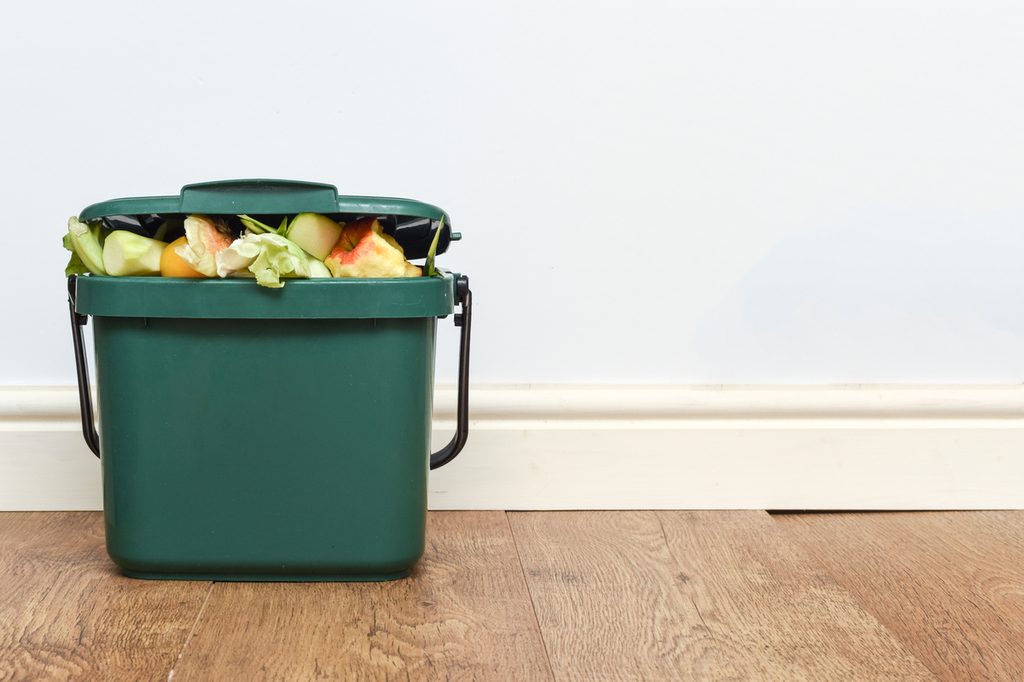 Small green compost bin indoors