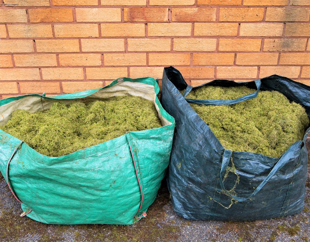 Two large canvas bags of compost and grass clippings