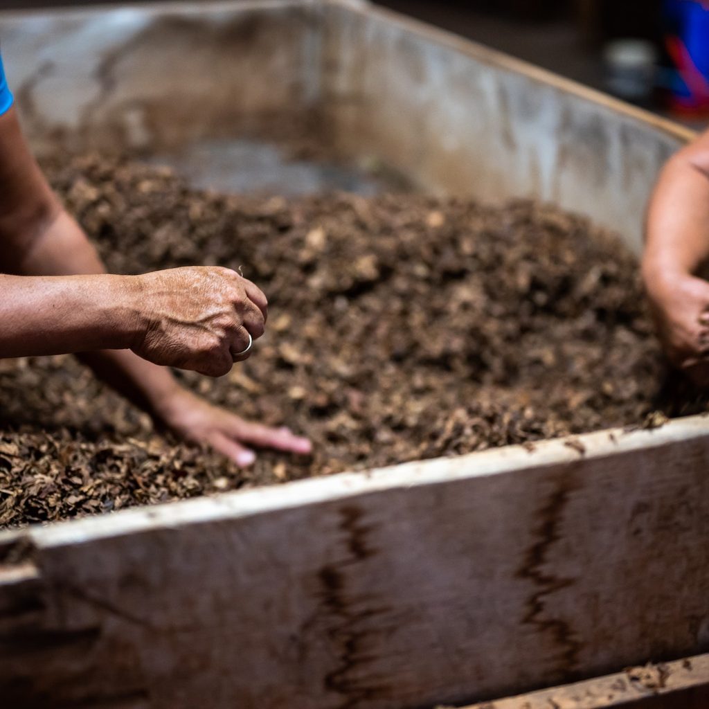 Two people with hands in large compost bin