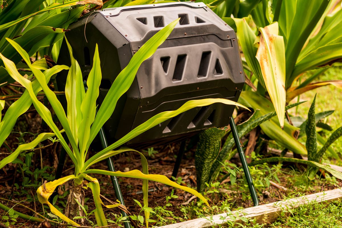 Small black plastic compost tumbler in a garden