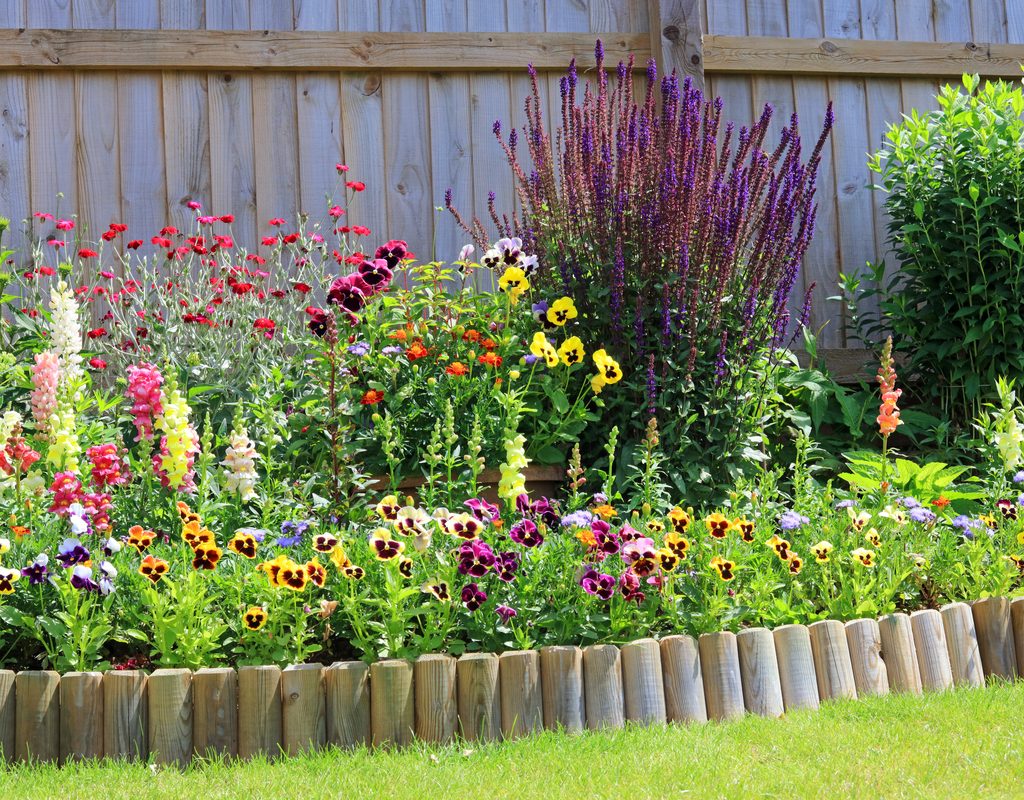 Various colorful flowers in a garden with a low wooden wall border