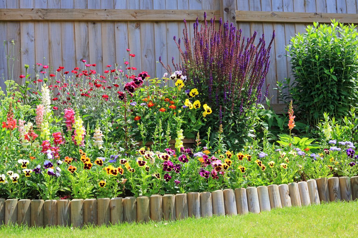 Large outdoor garden with colorful flowers