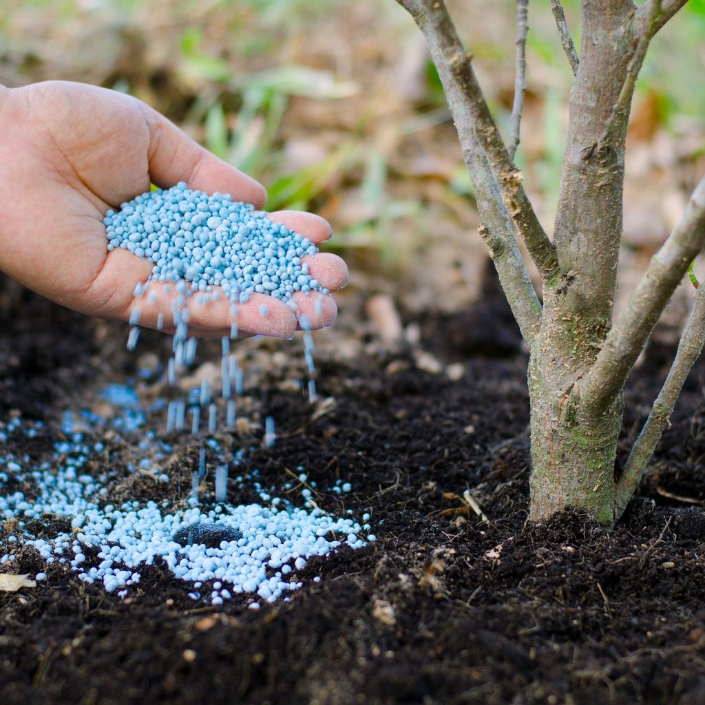 person-fertilizing-plant