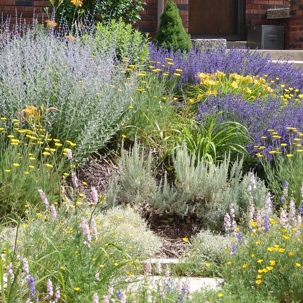 Flower garden on a sloped landscape