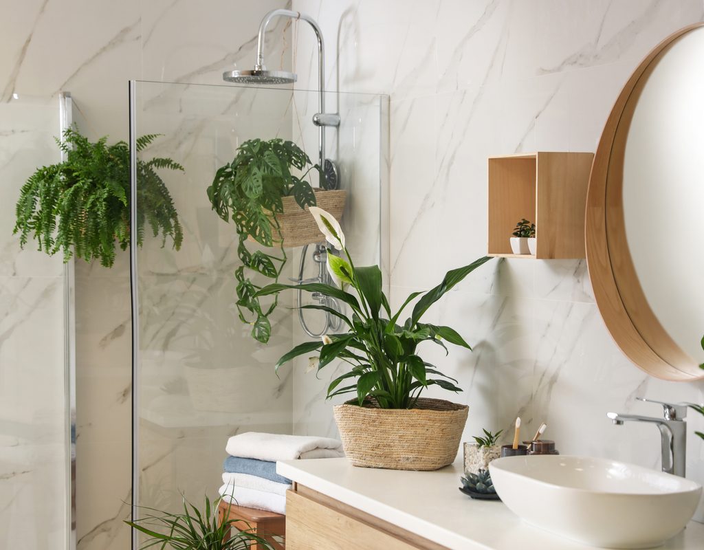 Bathroom with plants