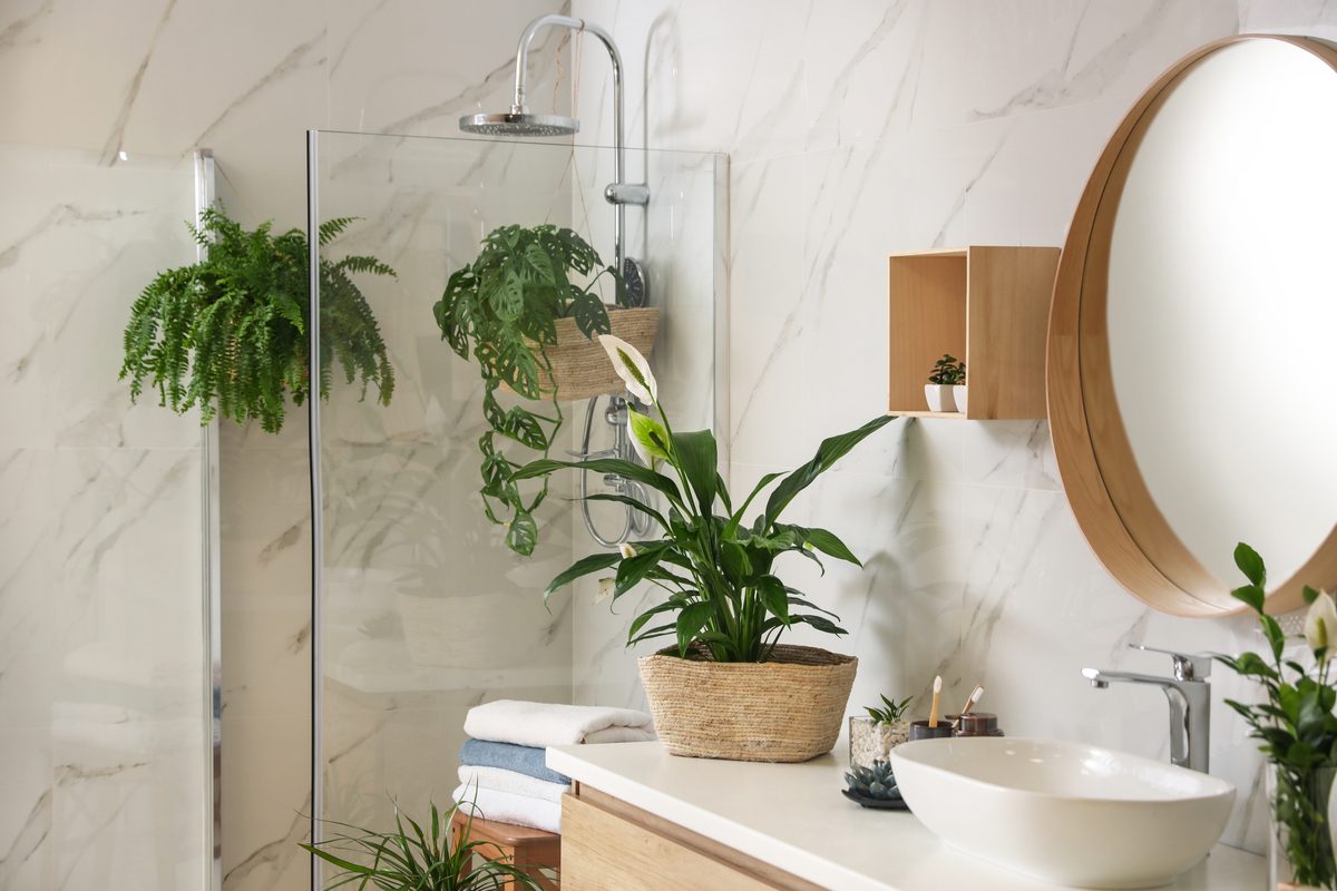 A small bathroom with plants