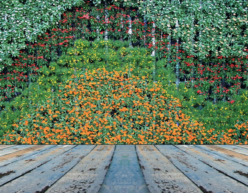 Colorful array of flowers on a vertical garden