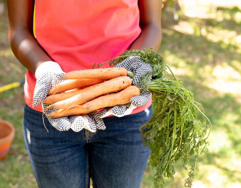 woman in a garden holding carrots