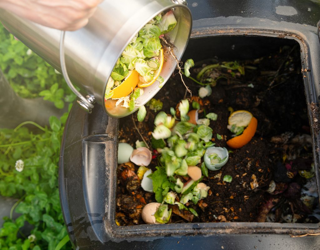 adding scraps to a compost bin