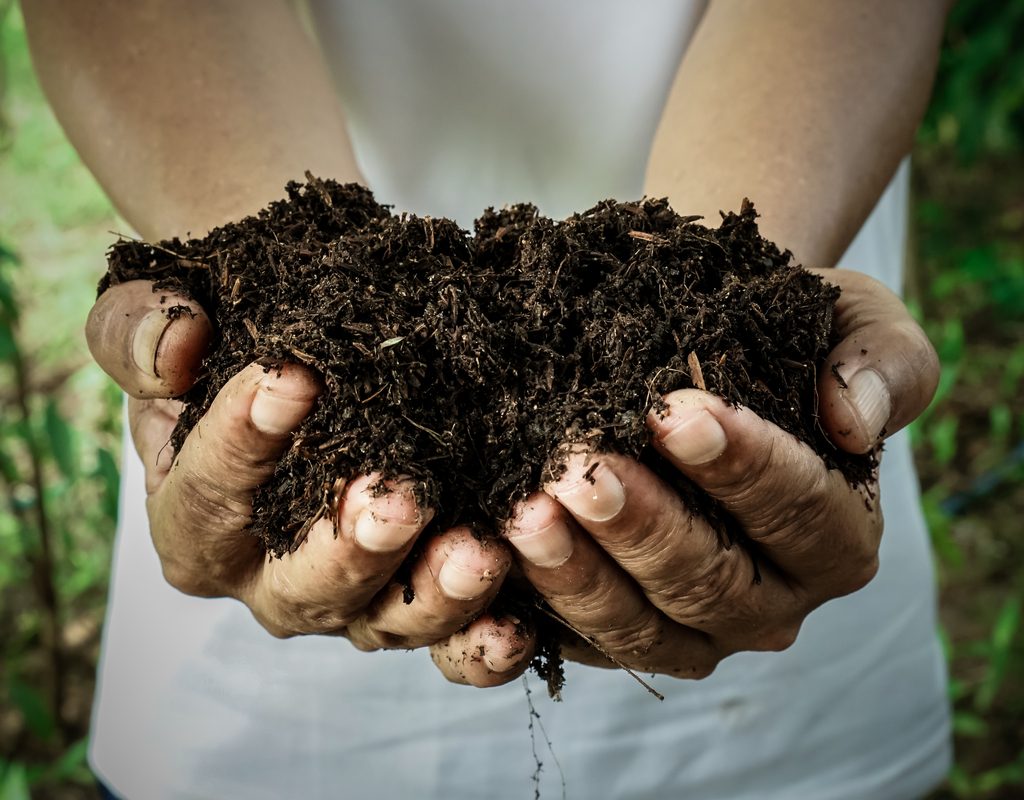 hands holding compost