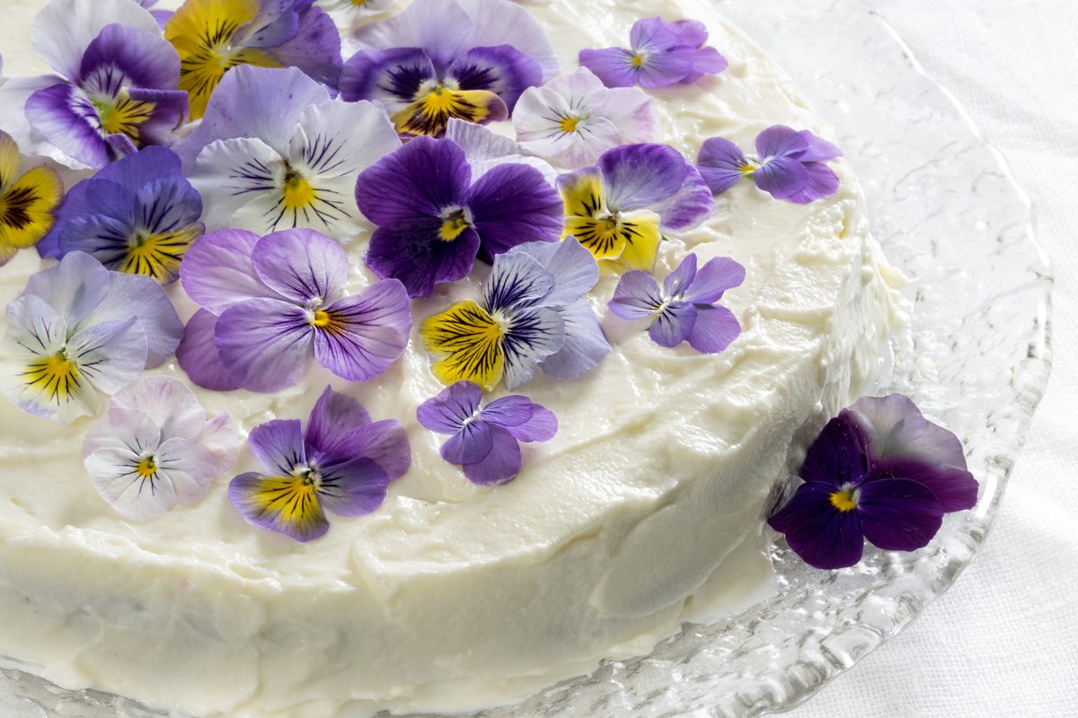 lavender pansy flowers on a white cake