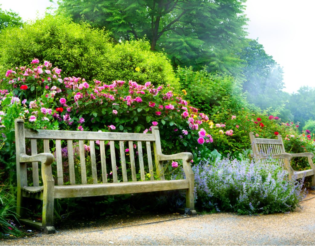 A bench in an English garden