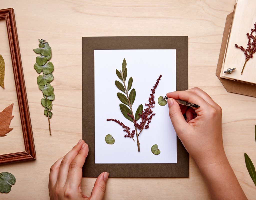 Placing pressed flowers in a frame