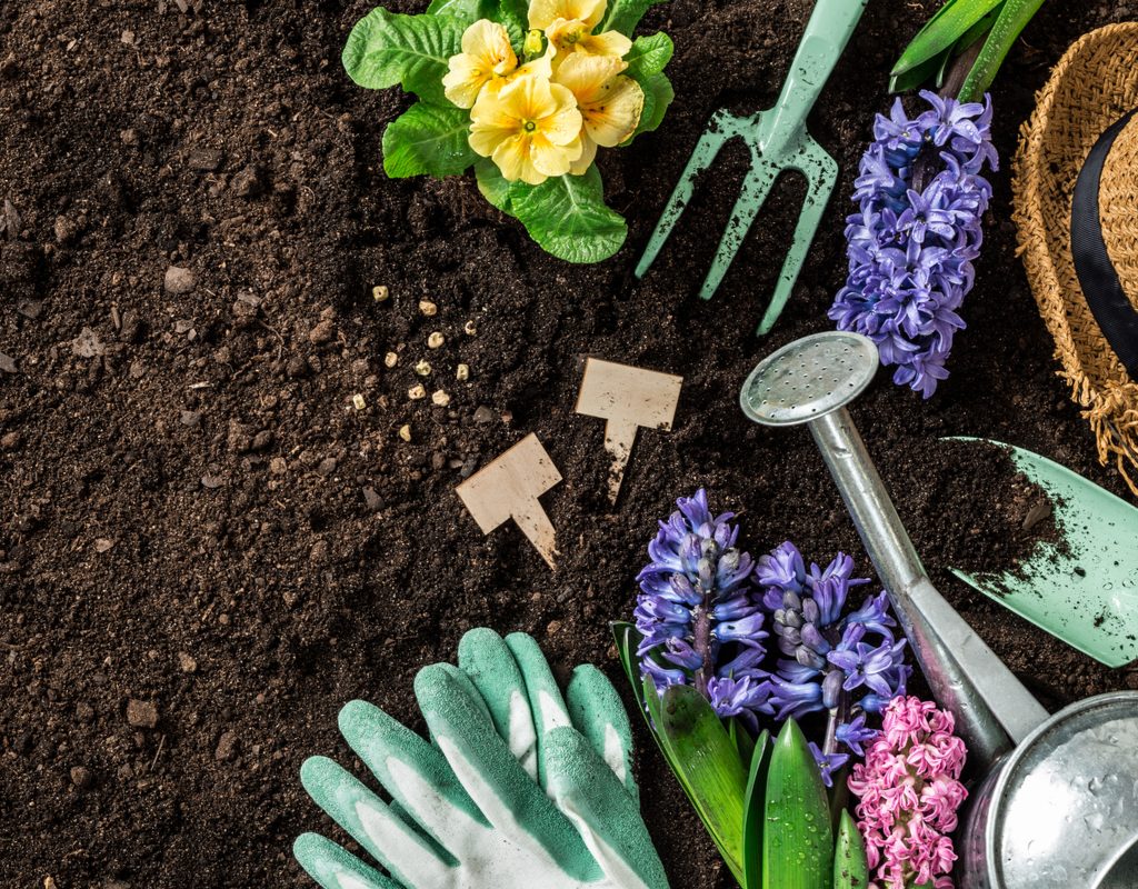 Metal gardening tools, gardening gloves, and several colorful flowers arranged on a patch of soil