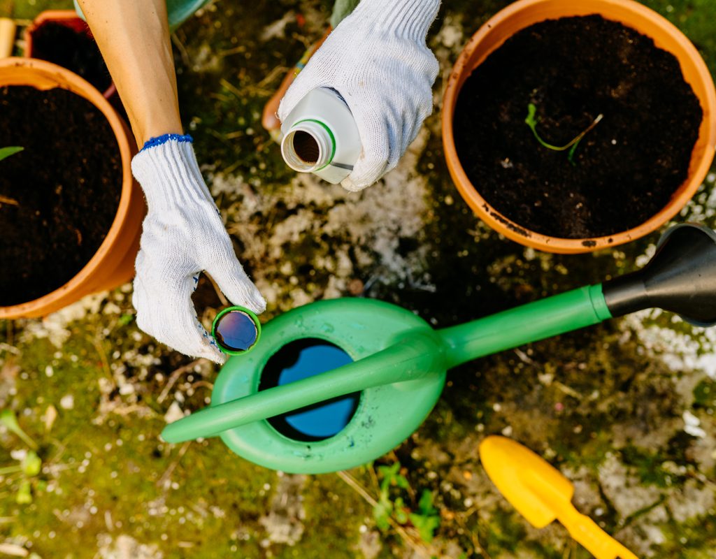 Liquid fertilizer being poured into a watering can