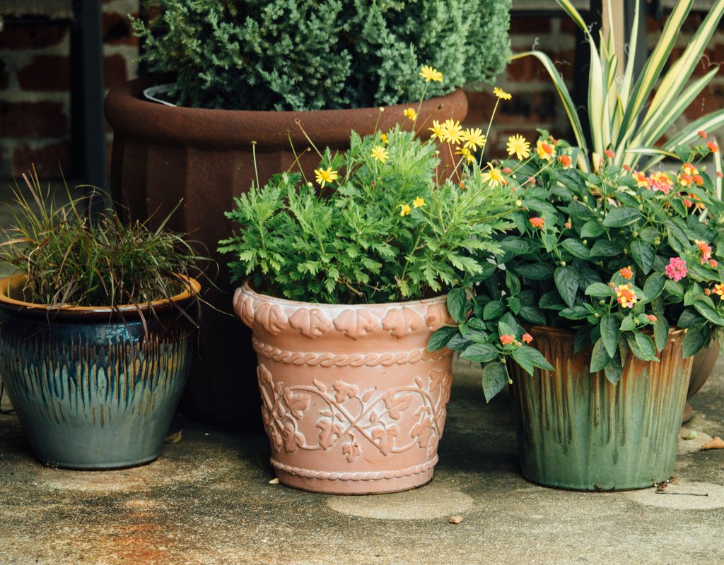Planters outside