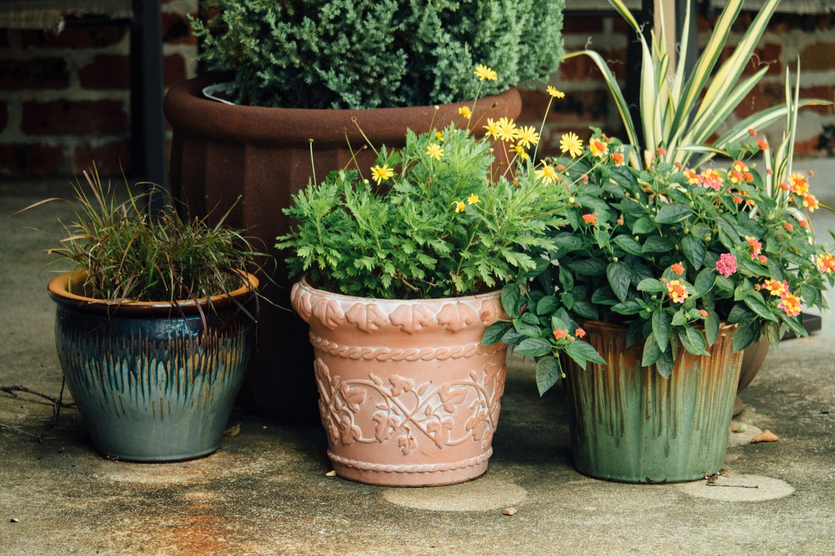 A group of planters on a deck