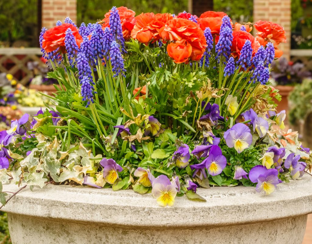 A large stone planter with several brightly colored spring flowers, mostly red, blue, and purple.