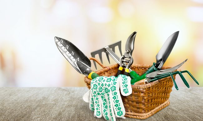 A small wicker basket on a table containing several gardening tools with green and yellow handles and floral gardening gloves