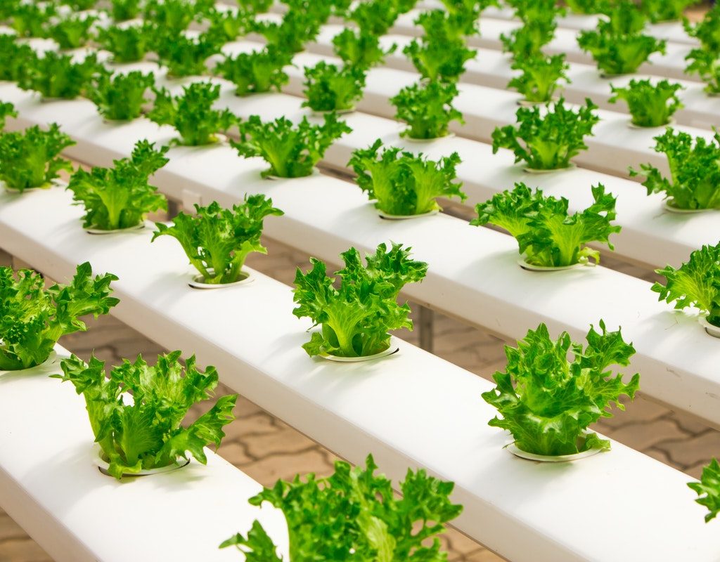 A horizontal hydroponic growing system