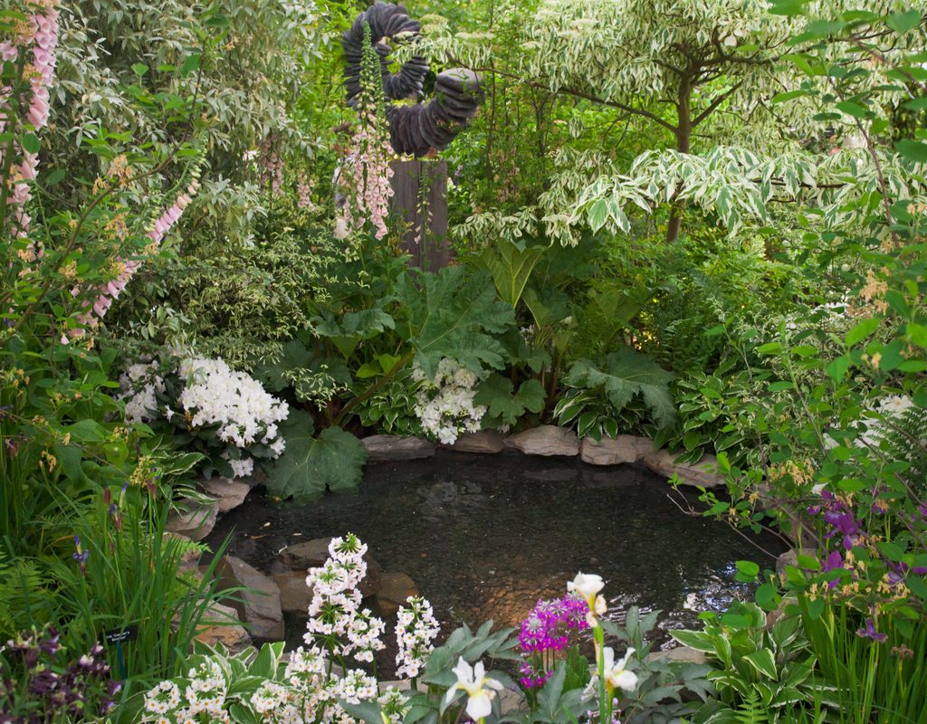 shade perennial garden and pond
