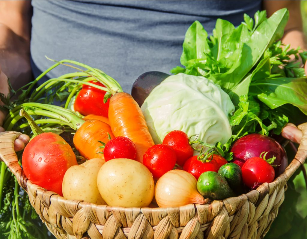 A person holding a basket full of assorted vegetables