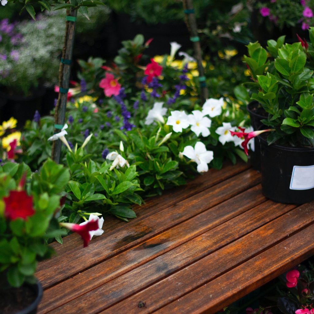 Flowers Sitting On a Deck