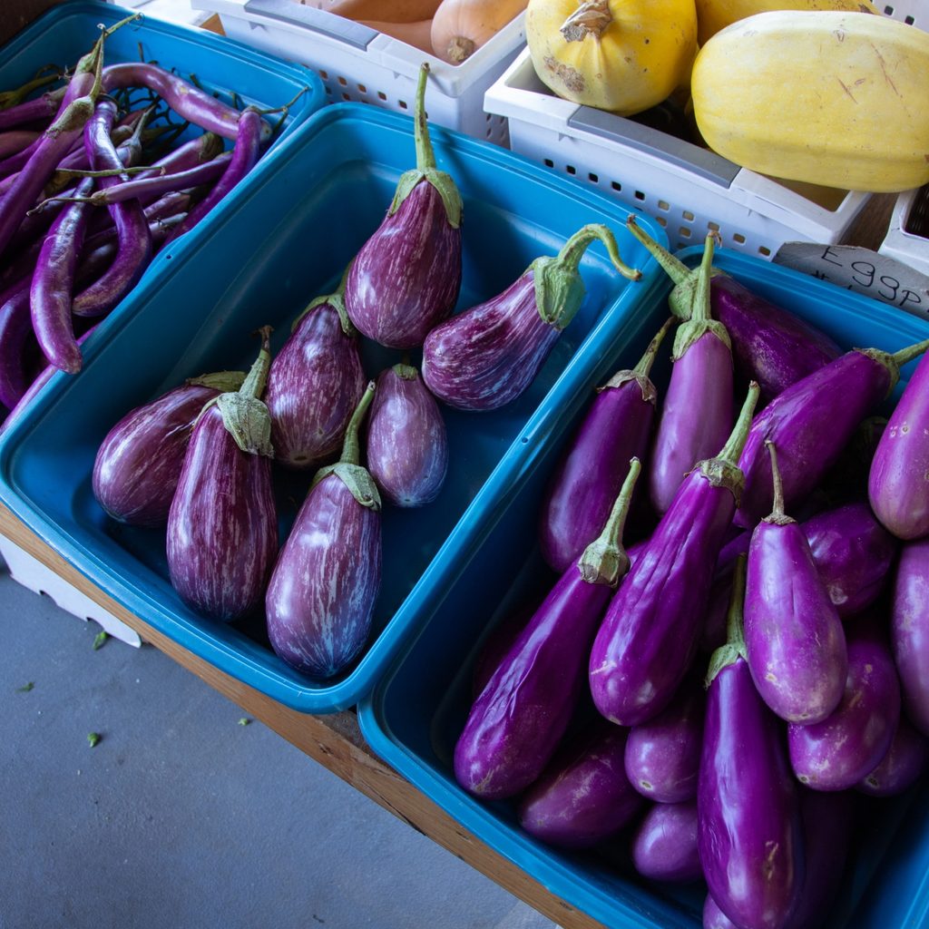 Top View of Eggplants in Containers