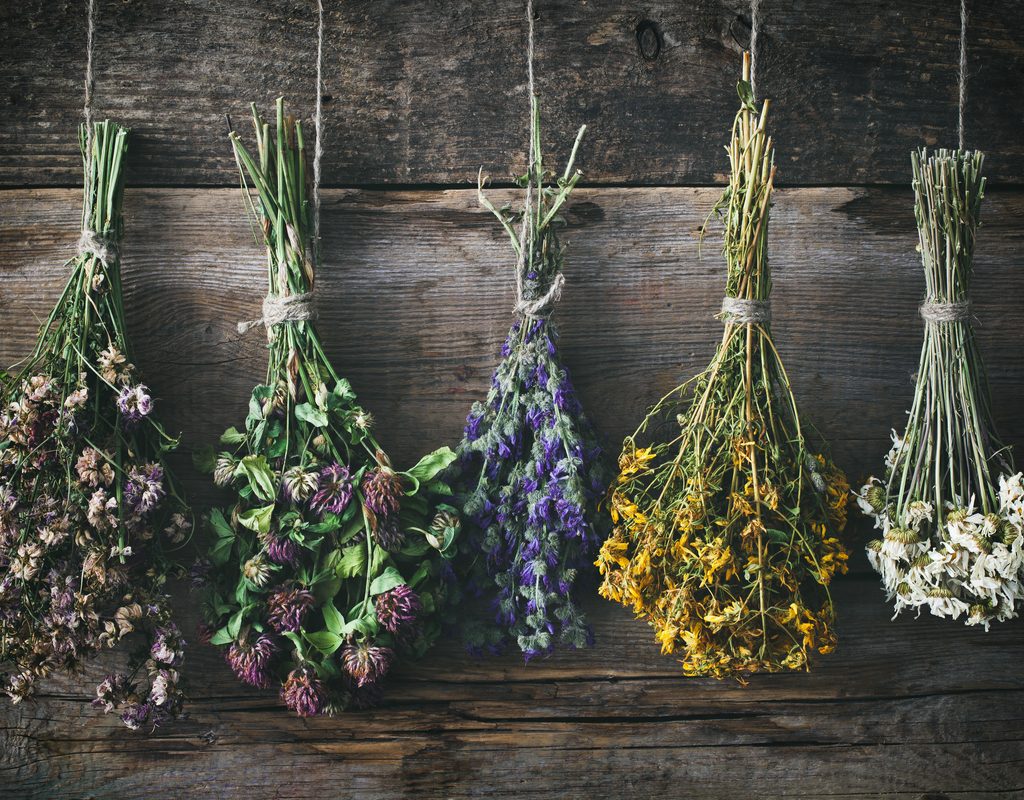 Bunches of flowers tied together and hanging upside down to dry against a dark wood wall.