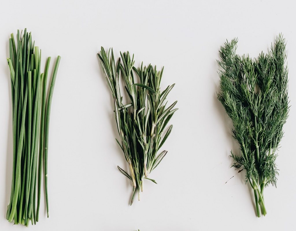 Bundles of harvested herbs