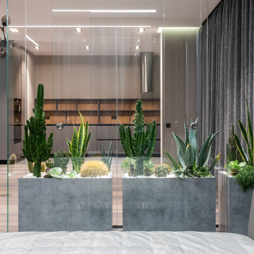 Spacious Lounge With Indoor Greenhouse