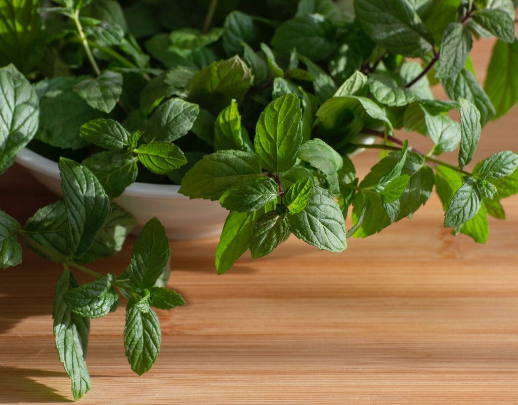 A closeup of mint leaves