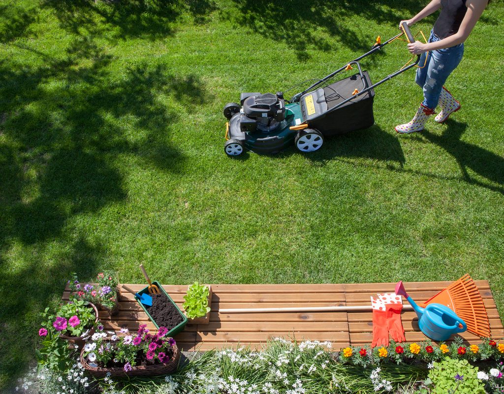 A person mowing the lawn with a black push mower