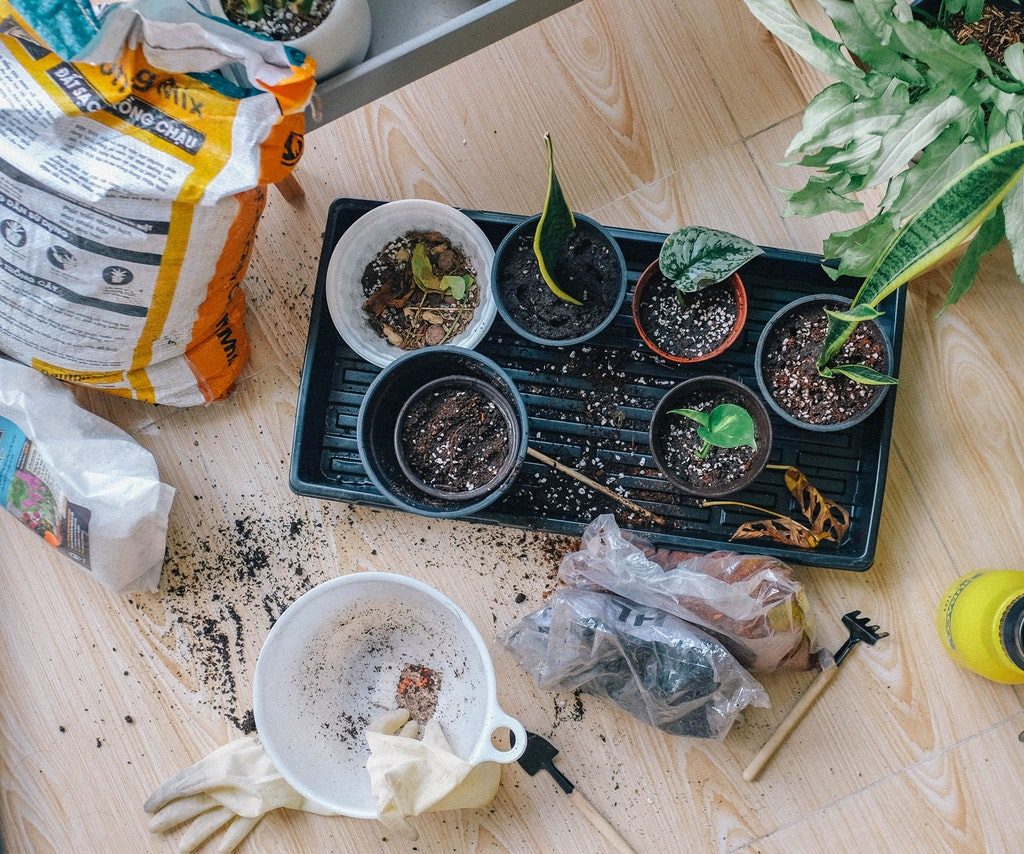 A table with soil, seedlings, and tools spread out on it.