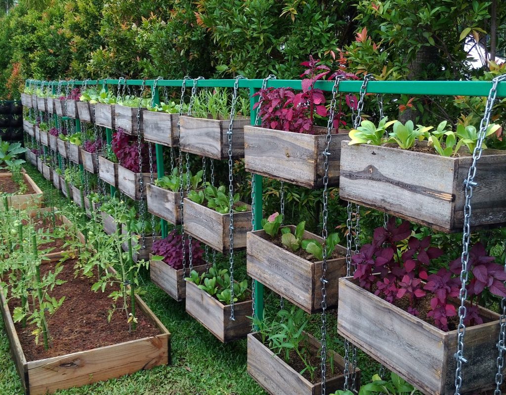 Vegetable garden consisting of two regular garden beds and several hanging baskets, suspended on chains.