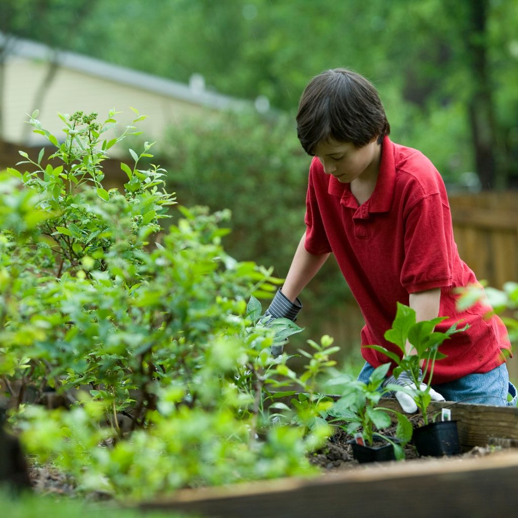 Child in garden