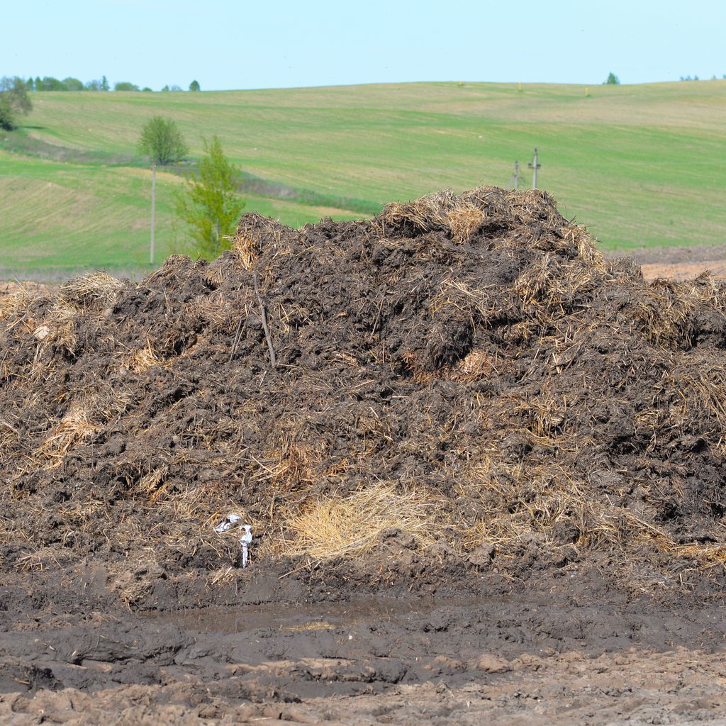 A Large Pile Of Manure